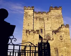 爱游戏-澳洲纽卡斯尔城市